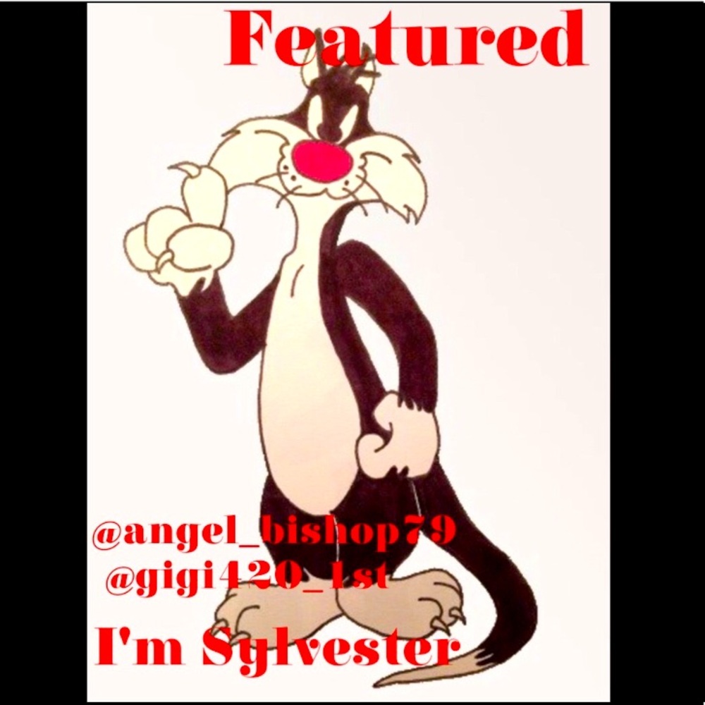 Ty!๐ Iโm SYLVESTER Today 5/1/21๐ Come play - Picture 1 of 1